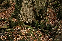 Rostoczek 11.2008 075